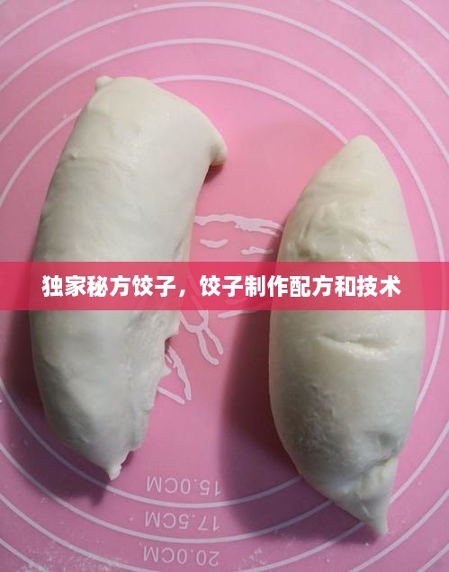 独家秘方饺子，饺子制作配方和技术 