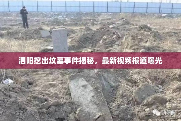花开无言