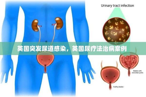 五百强企业 第20页