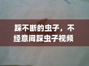 五百强企业 第19页