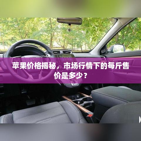 加入我们 第18页