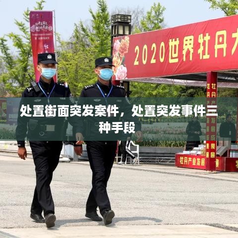 处置街面突发案件，处置突发事件三种手段 