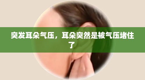 使用教程 第17页