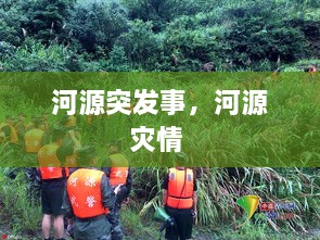 河源突发事，河源灾情 