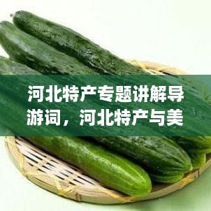 河北特产专题讲解导游词，河北特产与美食的导游词 