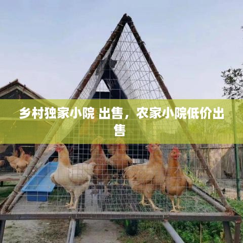 加入我们 第14页