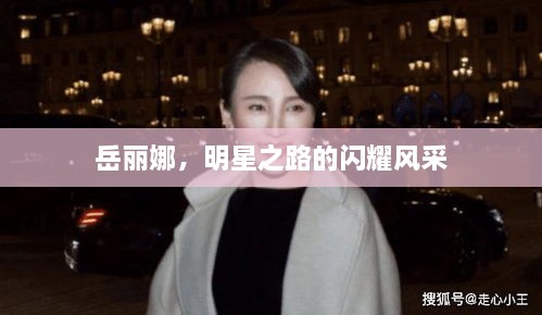 成功案例 第11页