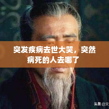 yihuadufang