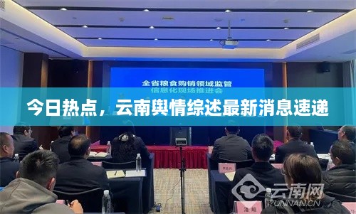 今日热点，云南舆情综述最新消息速递