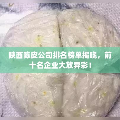 陕西陈皮公司排名榜单揭晓，前十名企业大放异彩！