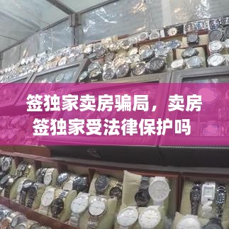特色功能 第11页
