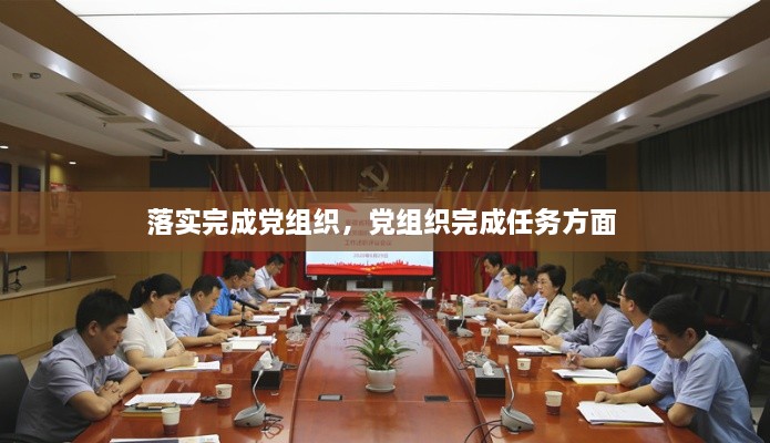 落实完成党组织，党组织完成任务方面 