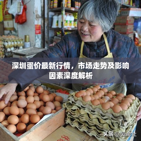 雅人清致