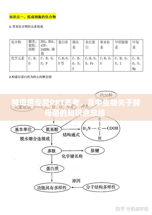 加入我们 第10页