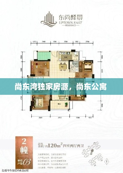 尚东湾独家房源，尚东公寓 