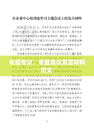 专题专议，专题会议发言材料范文 