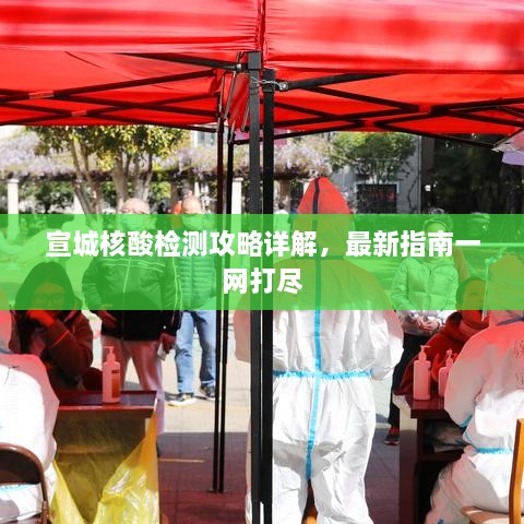 宣城核酸检测攻略详解，最新指南一网打尽