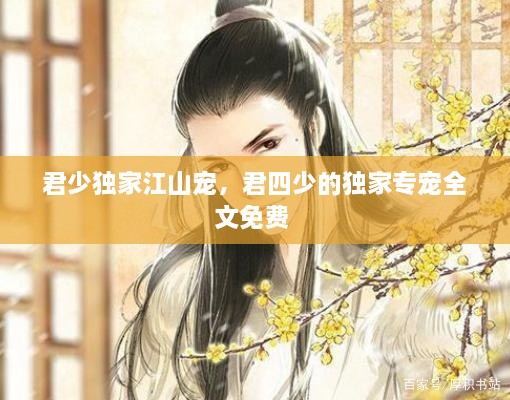 君少独家江山宠，君四少的独家专宠全文免费 