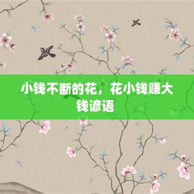 小钱不断的花，花小钱赚大钱谚语 