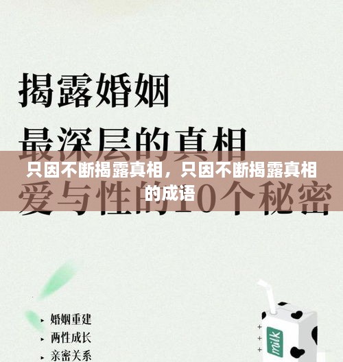 只因不断揭露真相，只因不断揭露真相的成语 