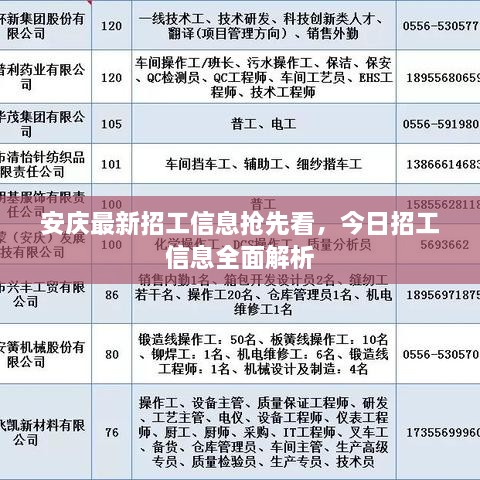 安庆最新招工信息抢先看，今日招工信息全面解析