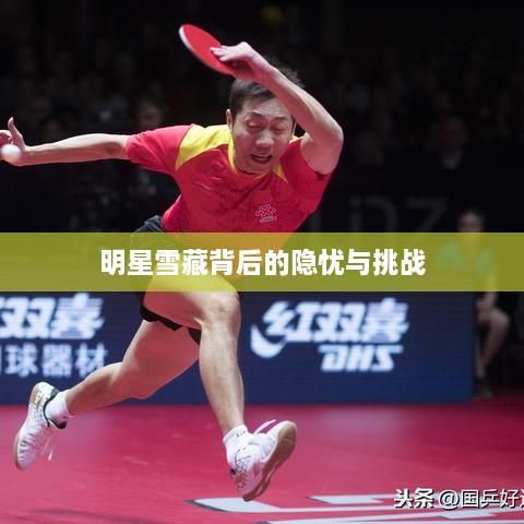 明星雪藏背后的隐忧与挑战