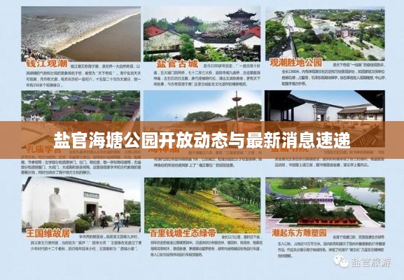 盐官海塘公园开放动态与最新消息速递