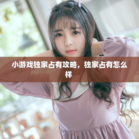 小游戏独家占有攻略，独家占有怎么样 