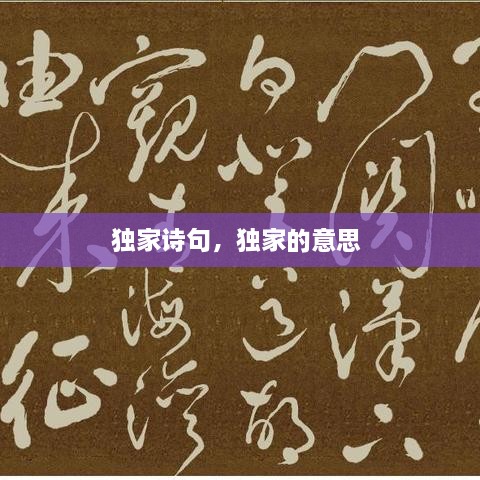 独家诗句，独家的意思 