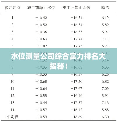水位测量公司综合实力排名大揭秘！