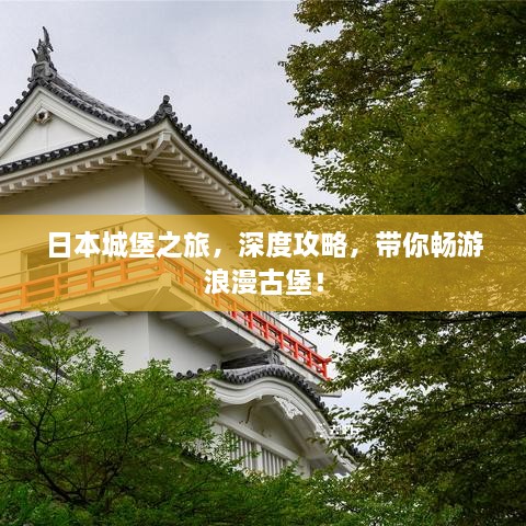 五百强企业 第6页