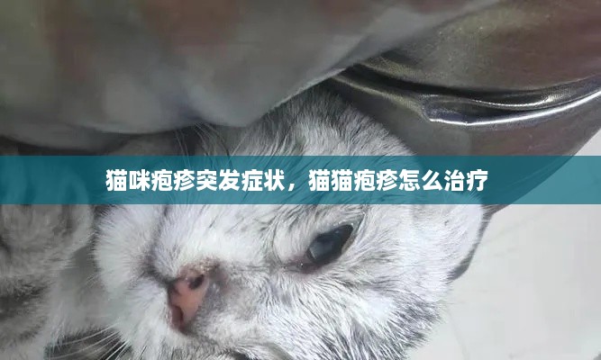 猫咪疱疹突发症状，猫猫疱疹怎么治疗 