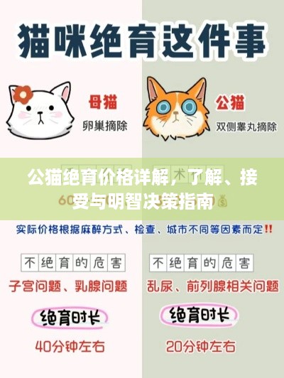 公猫绝育价格详解，了解、接受与明智决策指南