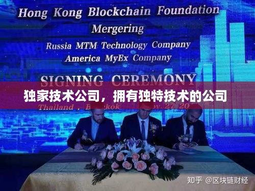 独家技术公司，拥有独特技术的公司 