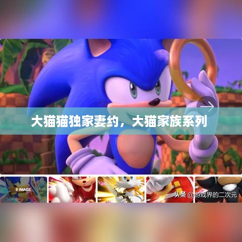 特色功能 第5页