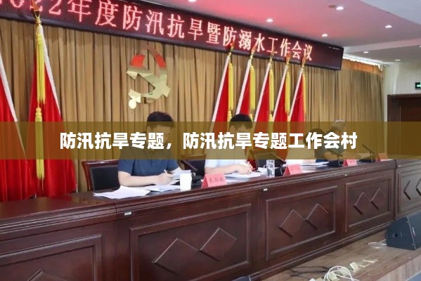 防汛抗旱专题，防汛抗旱专题工作会村 