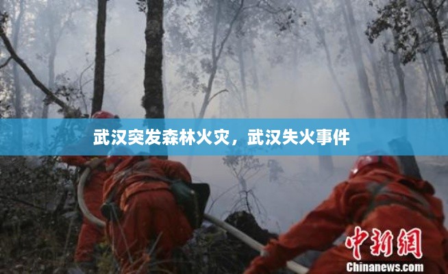 武汉突发森林火灾，武汉失火事件 