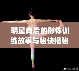 明星背后的形体训练故事与秘诀揭秘