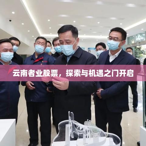 云南者业股票，探索与机遇之门开启