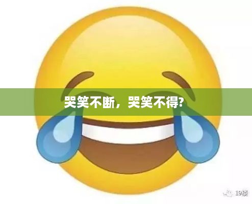 哭笑不断，哭笑不得? 
