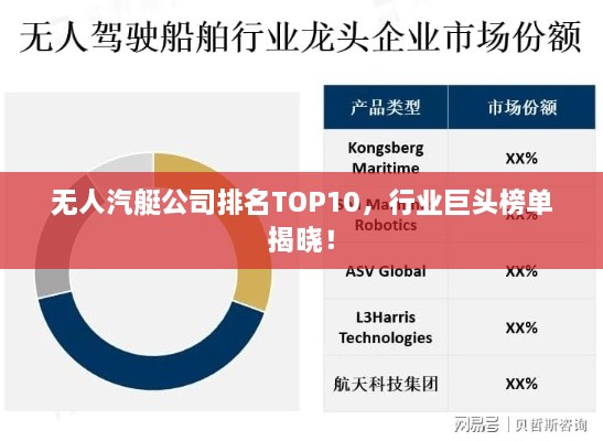 无人汽艇公司排名TOP10，行业巨头榜单揭晓！