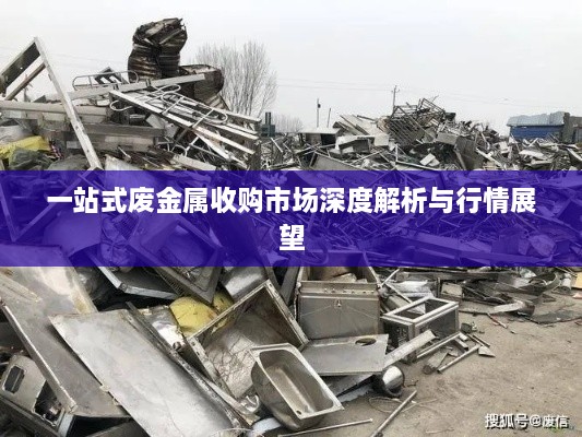 一站式废金属收购市场深度解析与行情展望