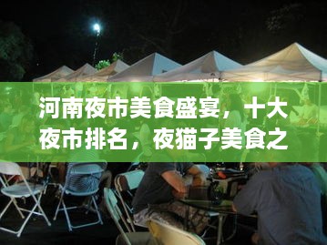 河南夜市美食盛宴，十大夜市排名，夜猫子美食之旅的不眠之夜