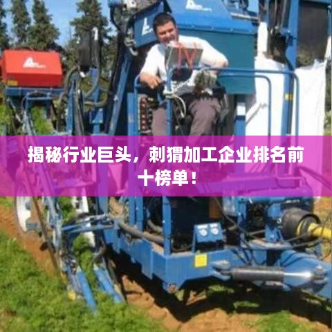 揭秘行业巨头，刺猬加工企业排名前十榜单！