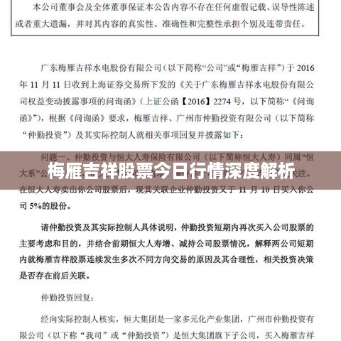 梅雁吉祥股票今日行情深度解析