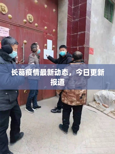 长葛疫情最新动态，今日更新报道