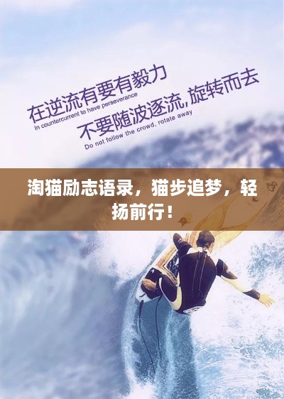 淘猫励志语录，猫步追梦，轻扬前行！