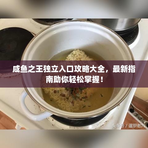 咸鱼之王独立入口攻略大全，最新指南助你轻松掌握！