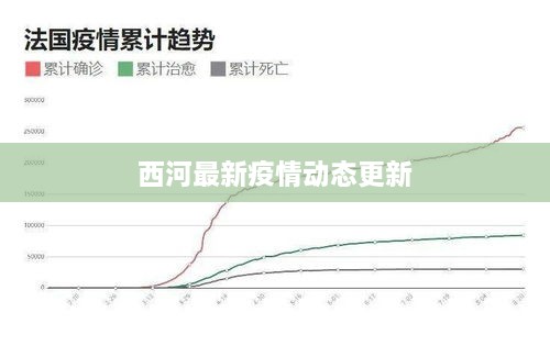西河最新疫情动态更新