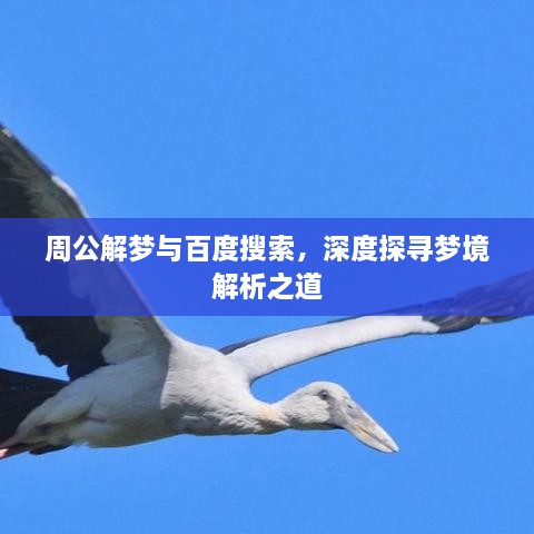 成功案例 第3页